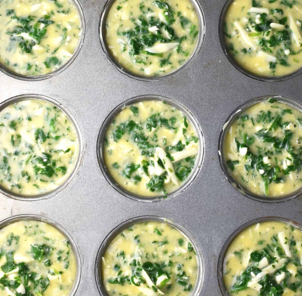 Top down view of spinach  and egg muffin batter in muffin pan.